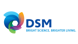 DSM-logo-venlo